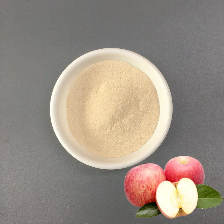 Wholesale Bulk CAS 9000-69-5 Food Grade Organic Apple Citrus Pectin Powder Low/High Methoxy Pectin