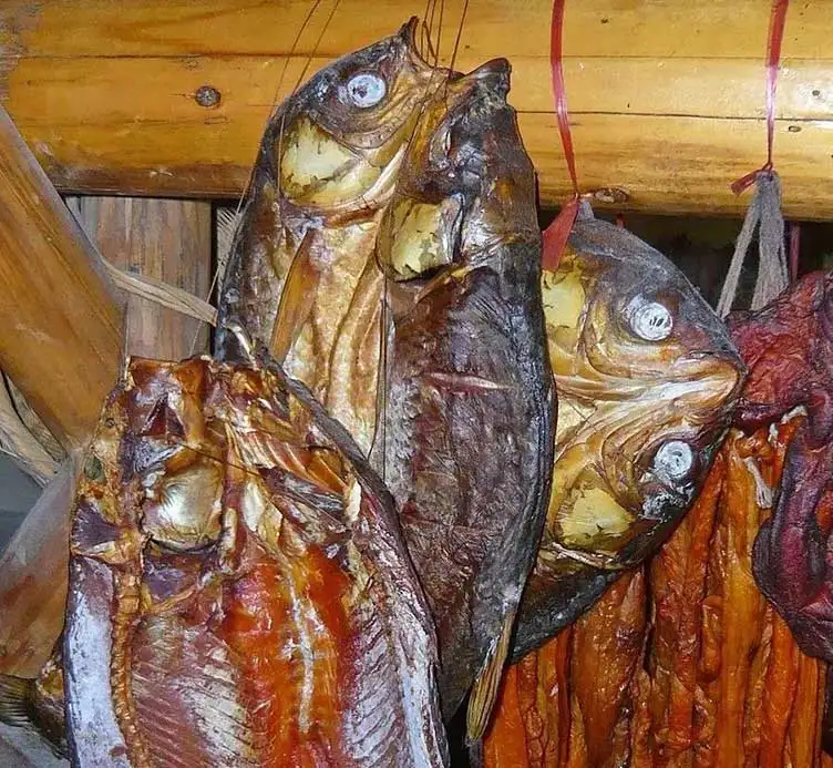 Wholesale dehydrator machine beef jerky dryer machine meat and fish drying machine