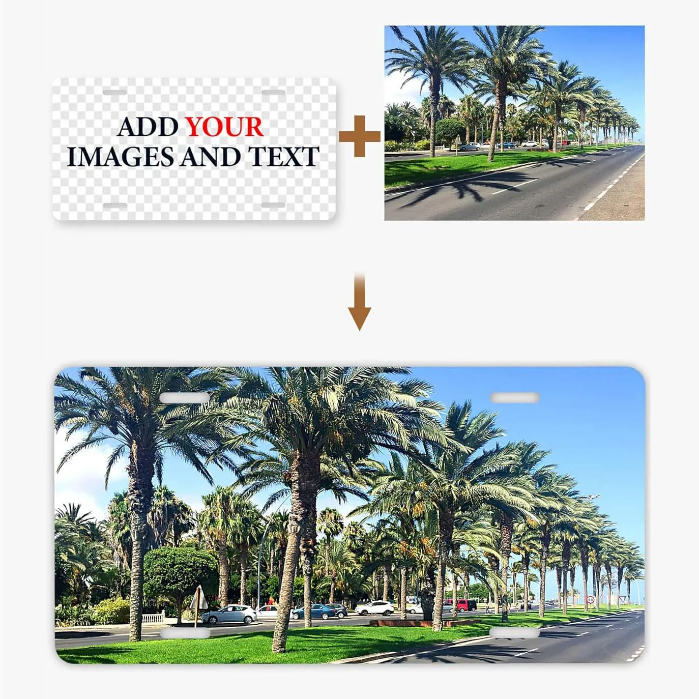 Custom Louisiana License Plate, Personalized License Plates for Car, 6x12 Inch, Rust-Free Fade Resistant Aluminum, USA