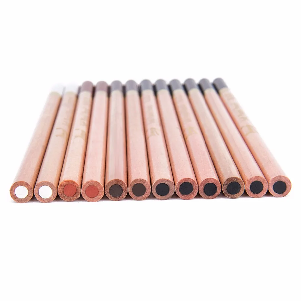Bianyo 12 Pcs/Box Artist Soft Pastel Pencils Crayon Charcoal Pencils Artiste Wooden Non toxic Pencil for Sketching Drawing