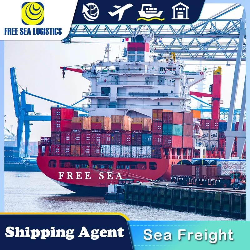 Профессиональная Международная транспортировка грузов из