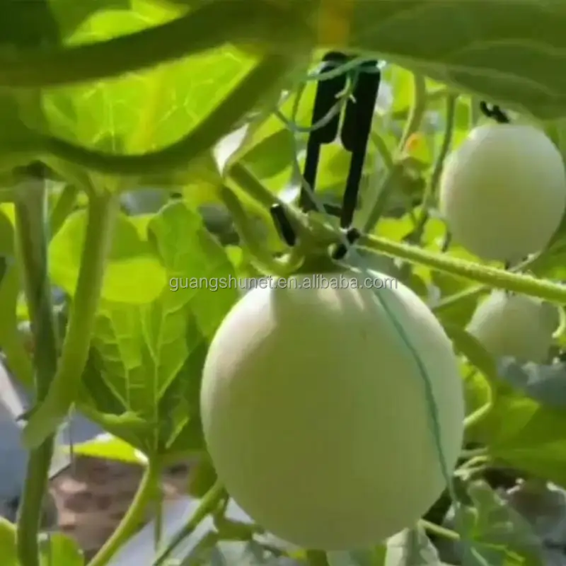 Direct wholesale Greenhouse Growing Accessories Garden Netted Melon Watermelon Hanging Hook