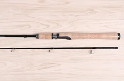 1.82M 2.1M Spinning Rods Surf Casting Fishing Rod carbon fiber with Cork Handle Ultralight 2 Pieces carbon Casting Fishing Rods