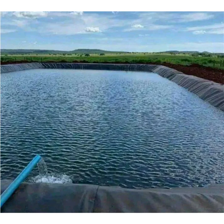 Pond Liner Geotextile Tarpaulin Fish Tanks Hdpe Membranes Geomembranas Hdpe 2 mm Geomembrane