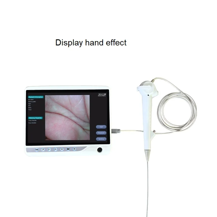Customizable Multifunctional Portable Digital Endoscope Reusable Veterinary Gastroscope for Dog Flexible and Easy to Use