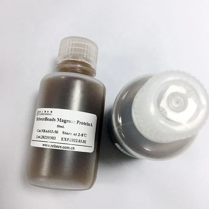  China Factory Supplied Top Quality Superparamagnetic Beads Protein A Extraction