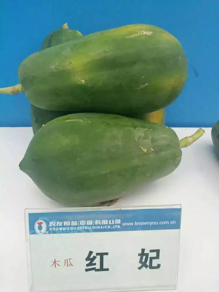 
Suntoday Non GMO Muguazhongzi hybrid taiwan red lady papaya seeds 
