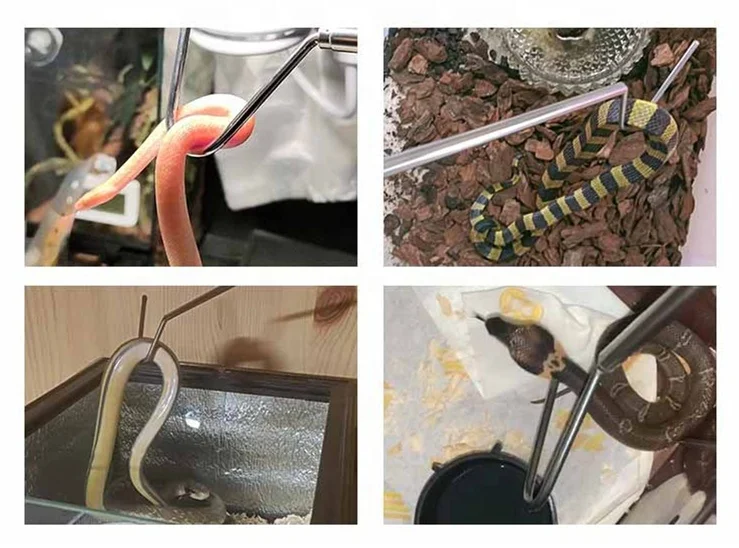 Stainless steel snake hook reptile box supplies snake catching supplies portable retractable outdoor snake catcher