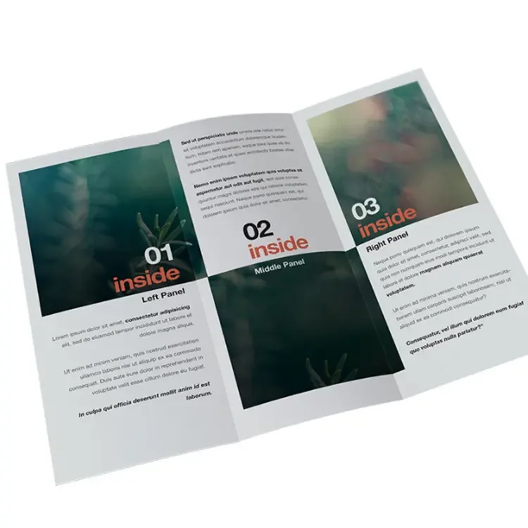 Cheap Brochure  Flyer/leaflet/catalogue/booklet Printing Instruction