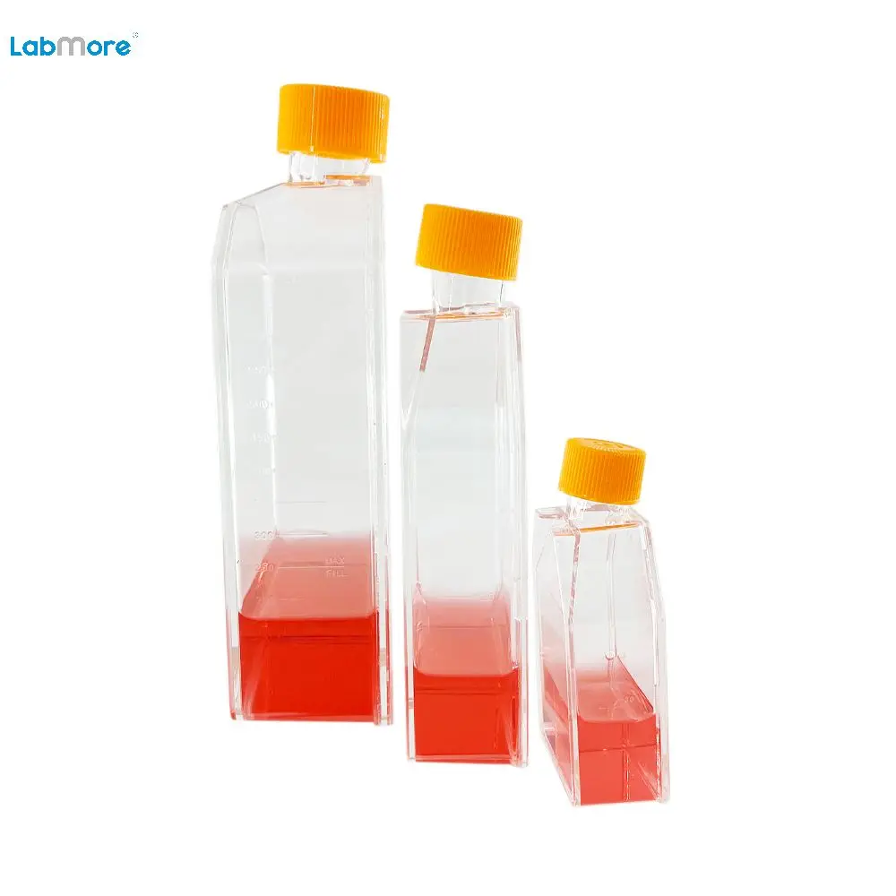 25Cm2 Non Treated  Plastic Cell Culture Flask with Seal Plug