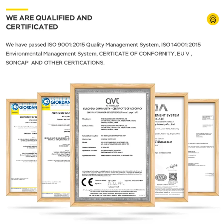 Small 220V 12 Volt 12V 8.3A Dc Output Portable Gas Gasoline Petrol Power Generator