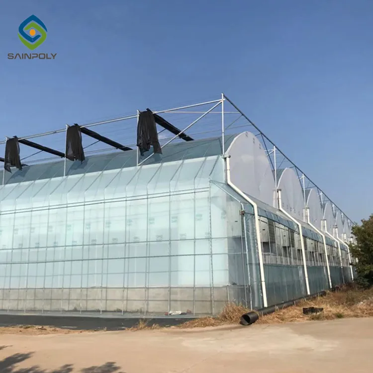 1 acre greenhouse pvc film green house for tomato growing