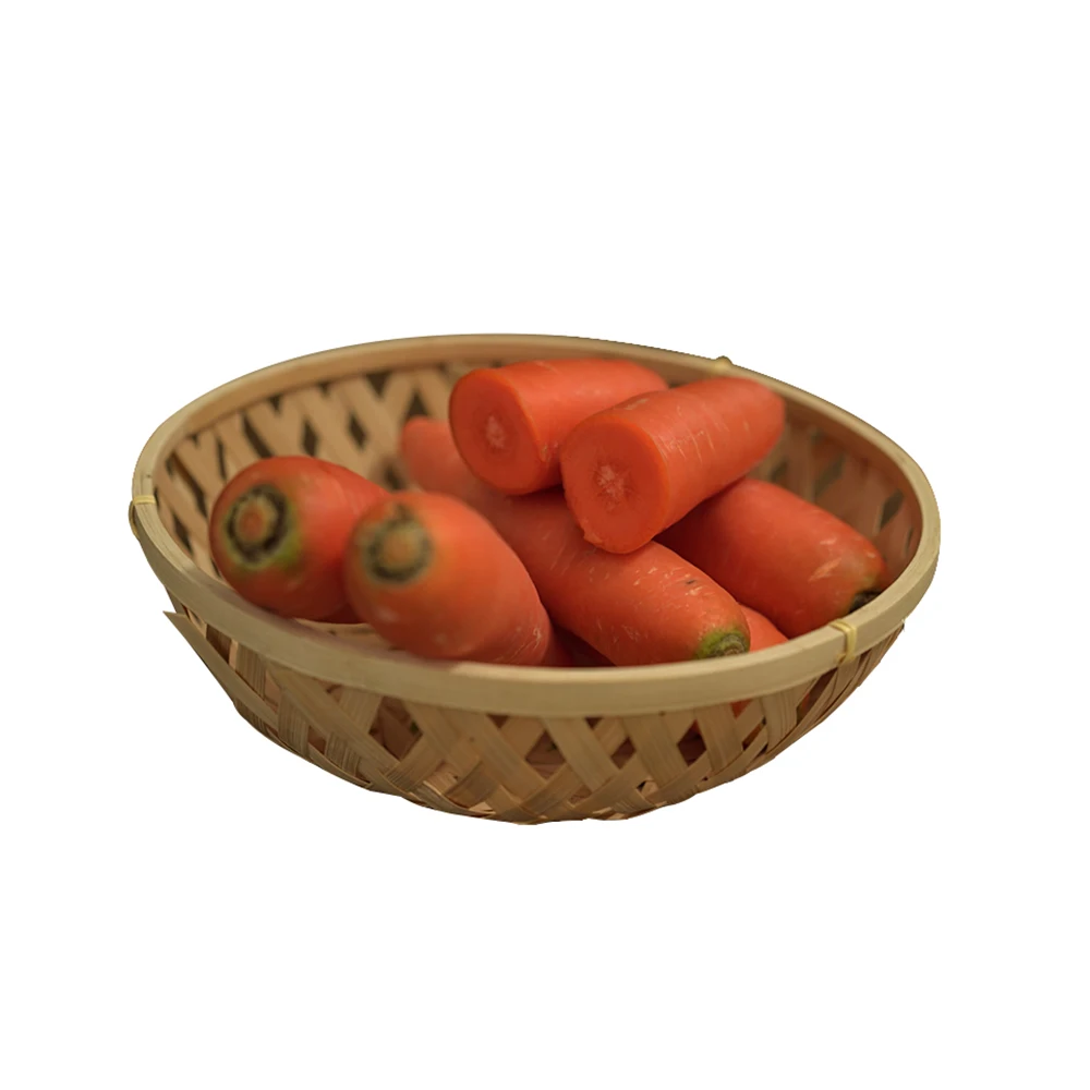 High Quality in Bulk Wholesale Carrot with International Certification