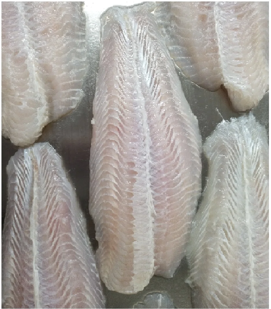 Оптовый Поставщик Замороженных пангас/пангасиус/филе Basa, хорошо обрезанная-JSC Вьетнам