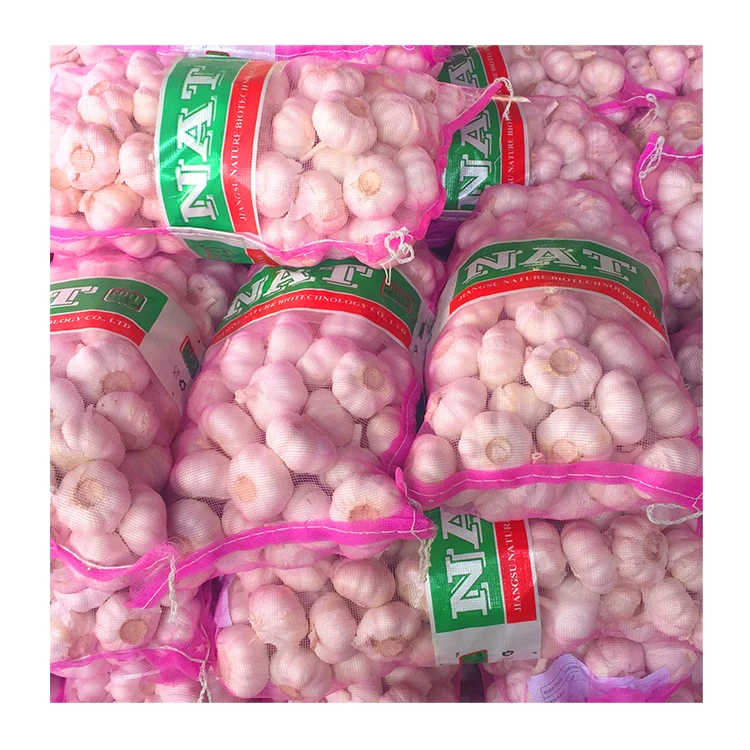 Top grade factory price fresh pure white garlic in mesh bags Chinese high quality white garlic with GLOBAL GAP for wholesale