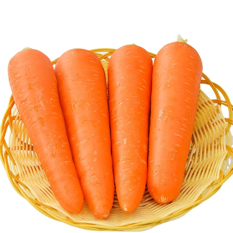 High quality carrot in china fresh carrot chinese organic fresh carrots
