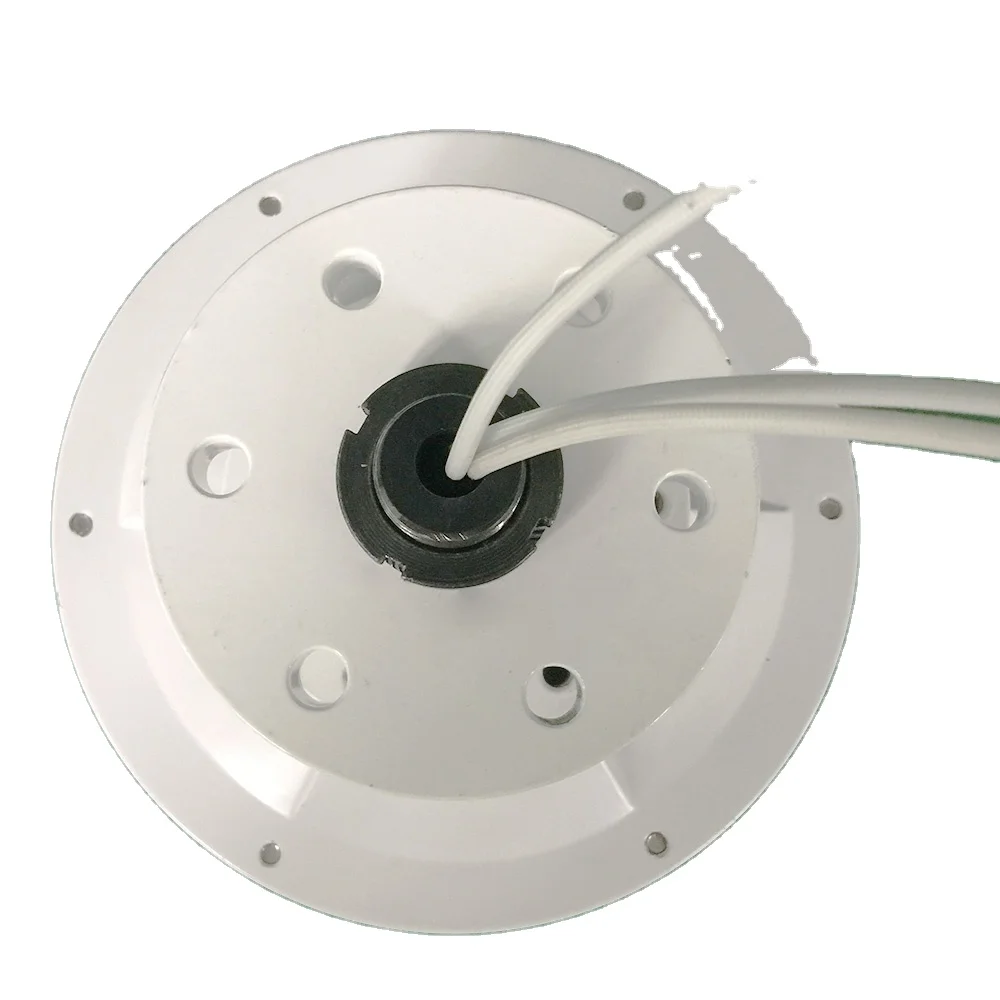 New VERTICAL axies 600w 12v 24v brushless ac rare earth permanent magnet alternator maglev three phase AC coreless generator