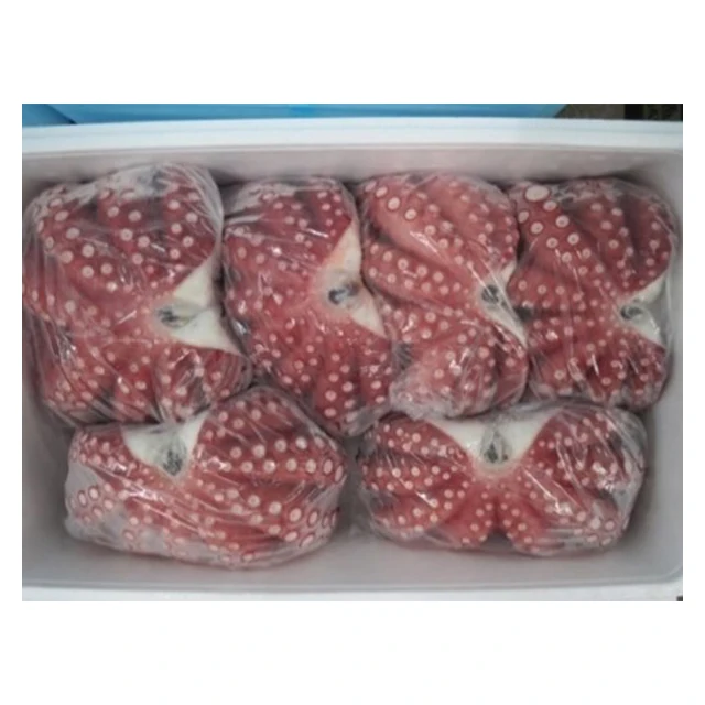 Frozen baby big mini octopus with good balance taste and texture