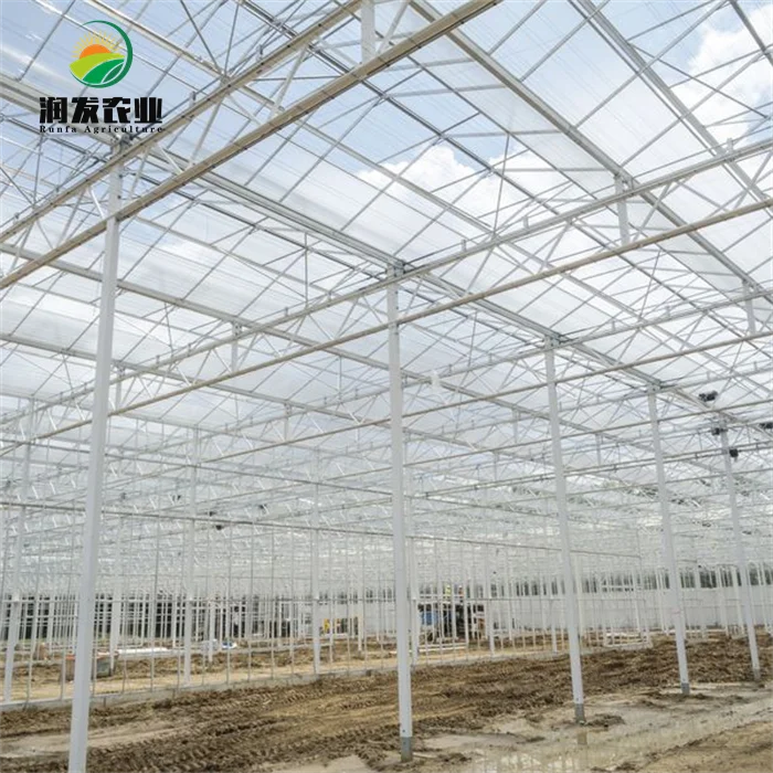 Large Multi-Span Victorian Greenhouses Commercial Venlo Glass Greenhouse With Irrigation&Hydroponics Equipment