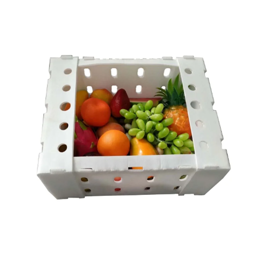Corrugated plastic correx cold seafood BOX fruit vegetables shipping box