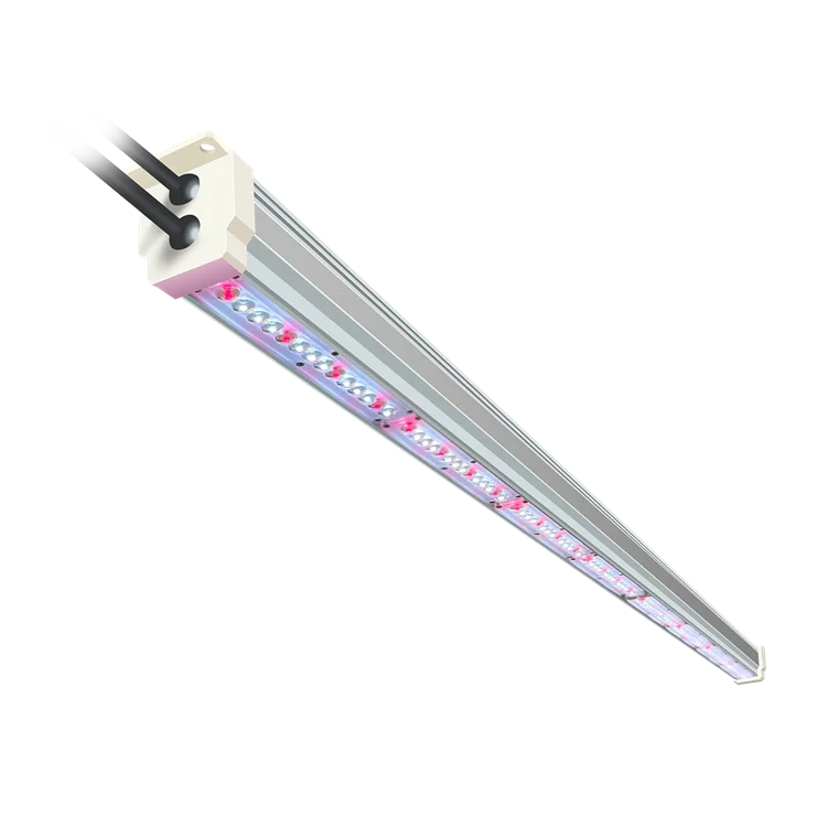 Wholesale From Full Spectrum Led Grow Light For Greenhouse Vertical Farm Indoor Plant