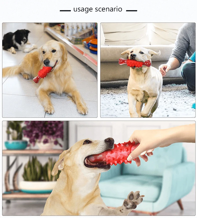 pet toys of dog