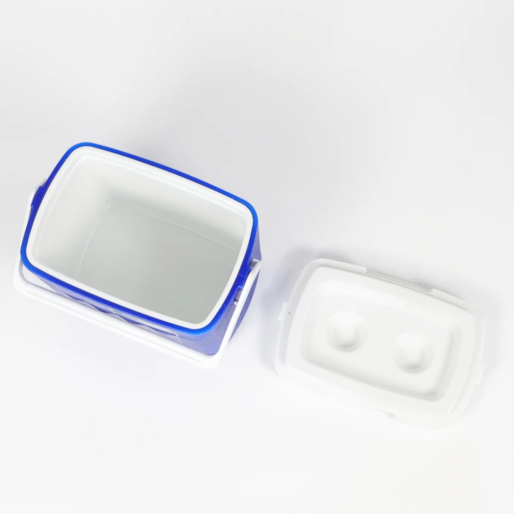 List of export products small cooler box 3UL ice chest cooler box plastic Latest Products