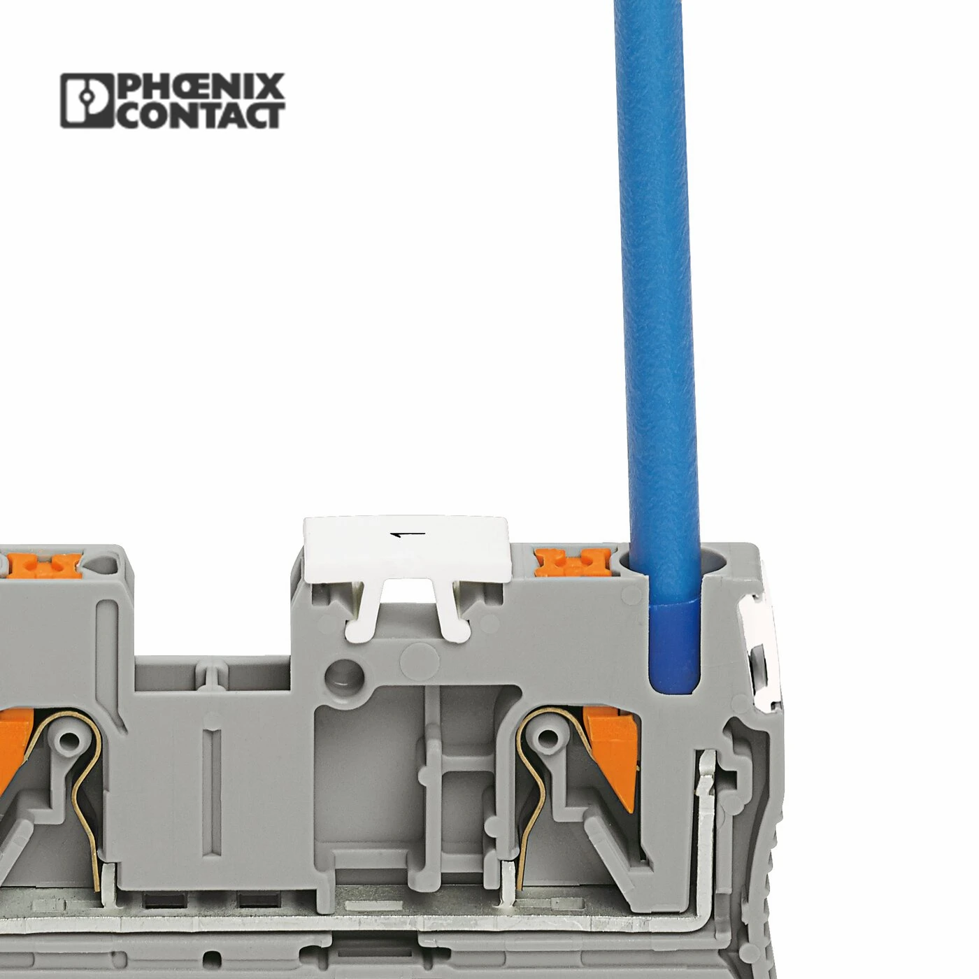 Phoenix Contact Feed-Through PT 2.5-QUATTRO Terminal Block/ Buy 3209578 Pt Terminal Block