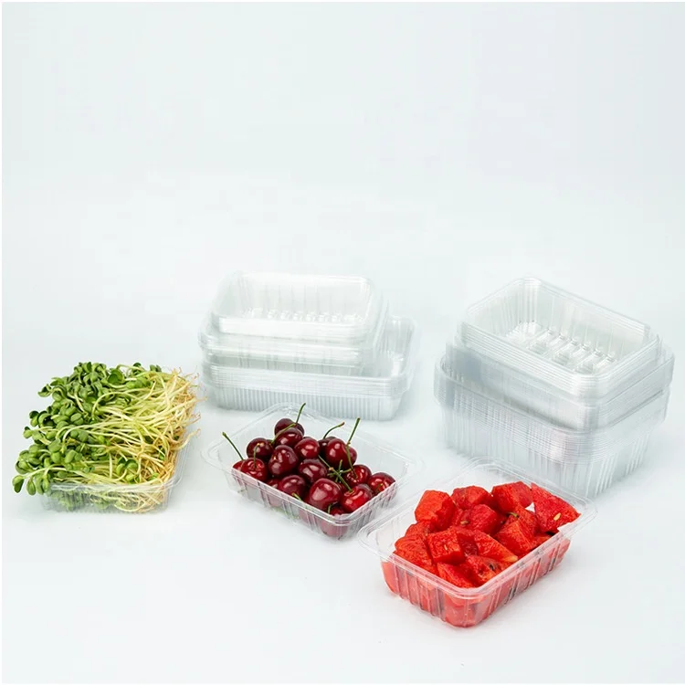 Take away disposable plastic packing food vegetable meat fruit PET tray