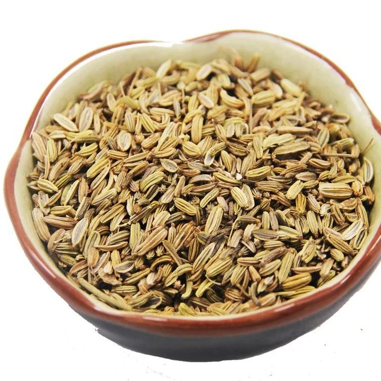 Xiao Hui Xiang Fructus Foeniculi Fennel Organic Cumin From China