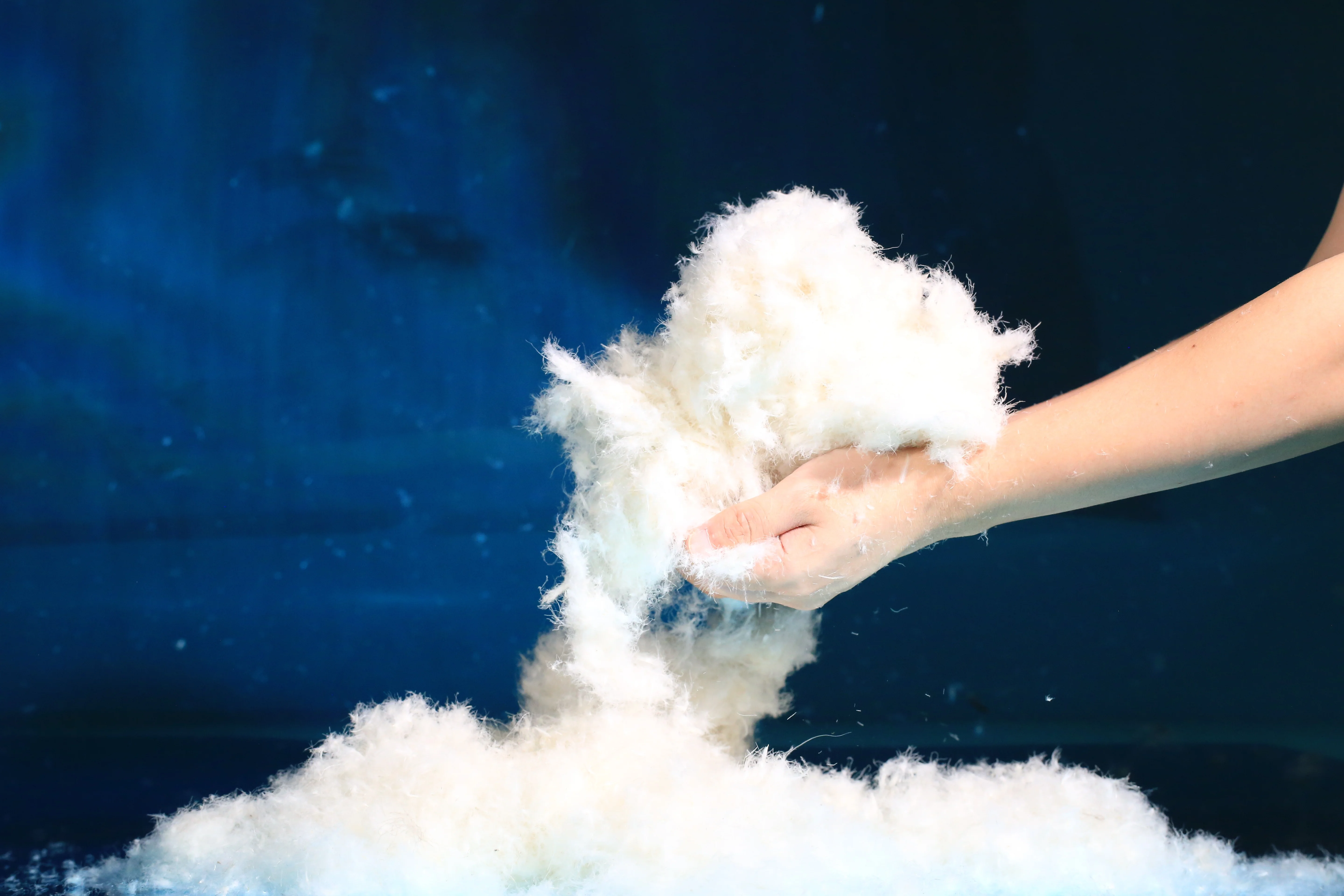 
70% Good Quality Down Coat Down Jacket Filling Material Washed White Duck Down 