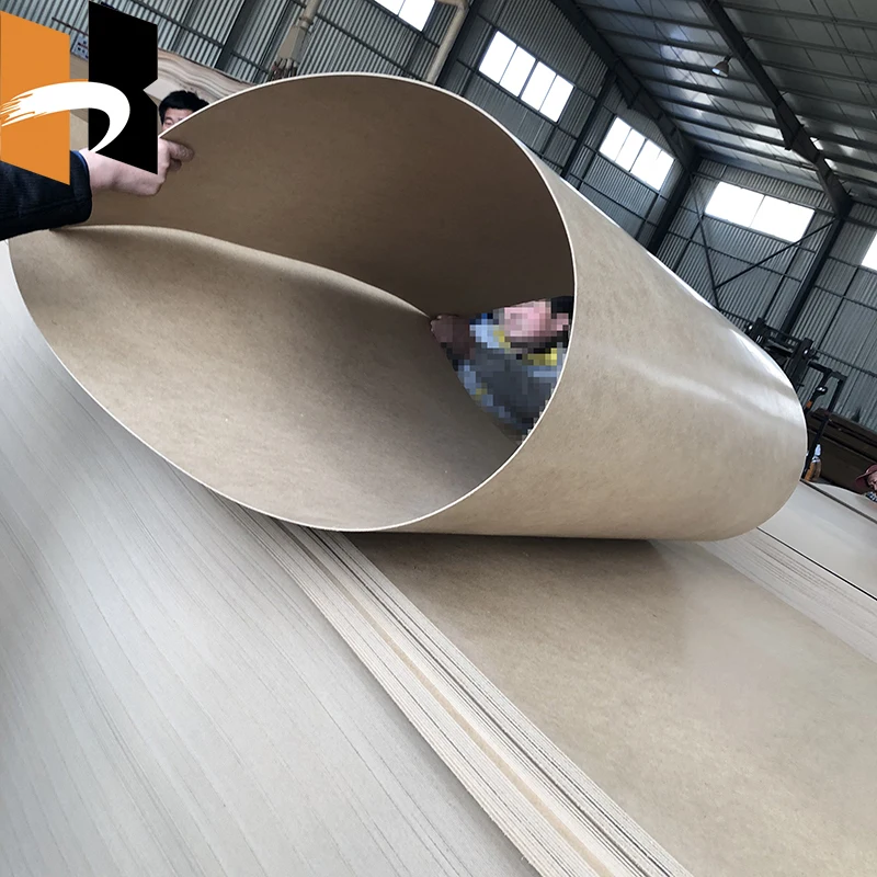 5mm 25mm Plain Raw Medium Density Board MDF Panel for Interior Door Making