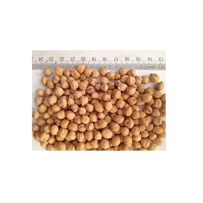 Common Ethiopia Delicious Natural High Quality And Hot Selling 7mm-9mm Kabuli Chickpea For Wholesale