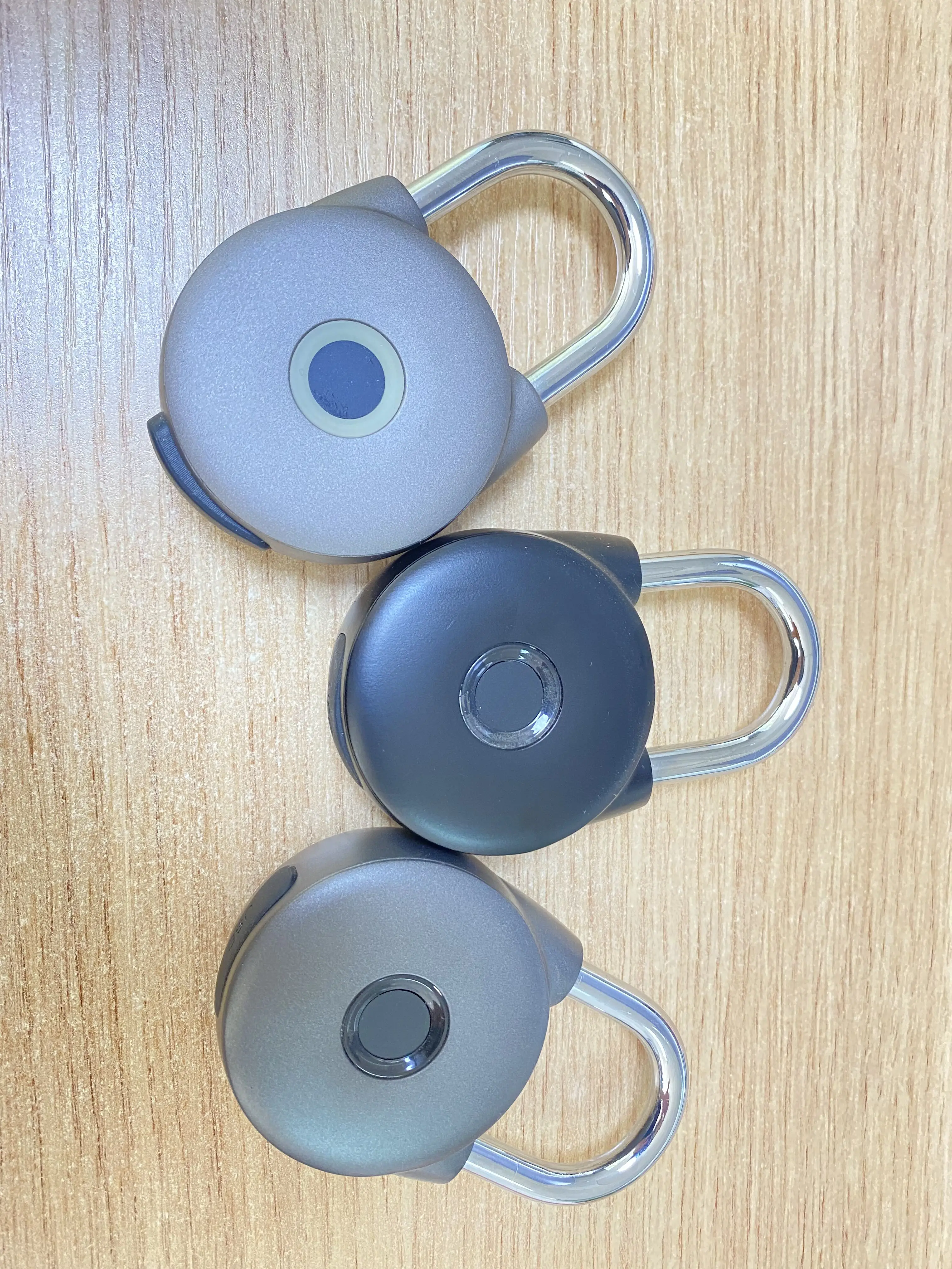 Intelligent Biometric Fingerprint Padlock Thumbprint