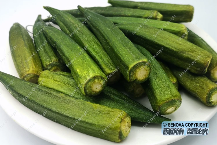 Food Fruit Meat Vegetable Freeze Drier