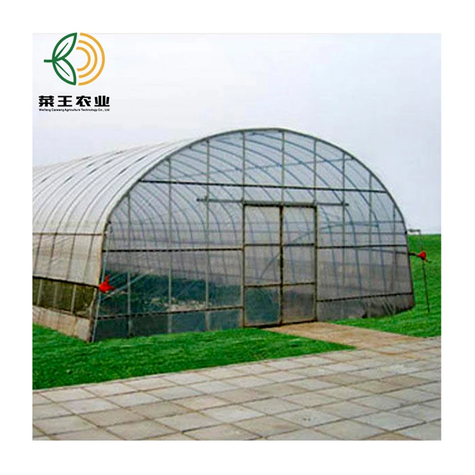 Single span film greenhouse Single-span tunnel garden green house for sale