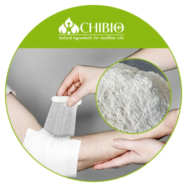 Vegetal Chitosan Power Hemostasis Dressing for Wound Repairing Treatments
