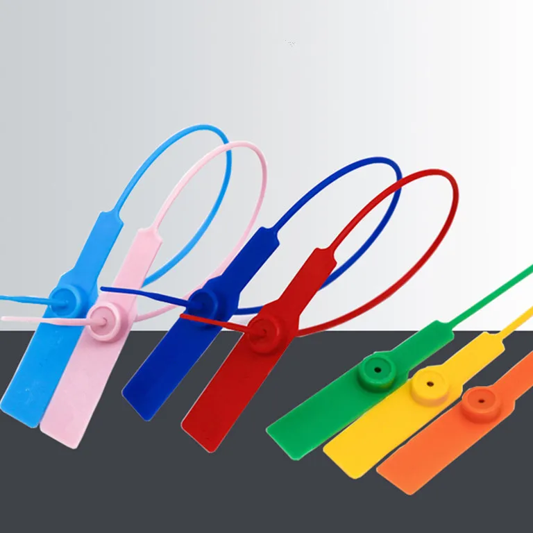 Safety Garment Hang Tags Shoes Security Label Fire Extinguisher Security Tie Shoe Zip Disposable plastic seal