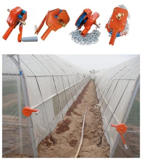 Tunnel Plastic /Flower Agricultural Single Span Plastic Tunnel Greenhouse/PE Flim Greenhouse For Vegetables