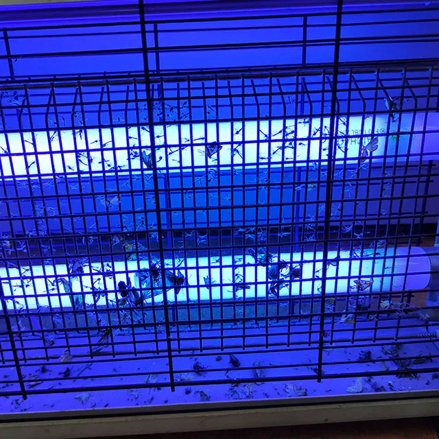 Оптовая продажа, Высококачественная комнатная УФ-лампа для уничтожения насекомых, Электронная ловушка для комаров, лампа для уничтожения насекомых