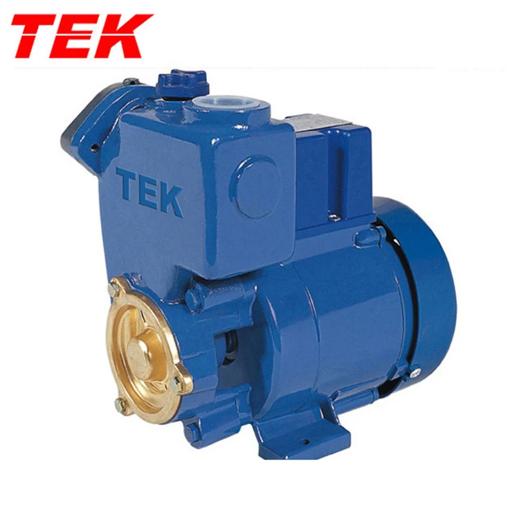 GP-250A GP250A GP-250 GP-250 Copper Wire Motor Cast Iron Self-priming Peripheral GP Pump OEM