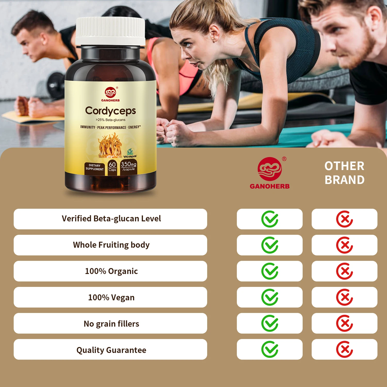 Organic Cordyceps Militaris Powder Capsule For Energy Booster