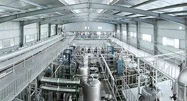 Natural Chinese Plant Extract Motherwort Herb Extract