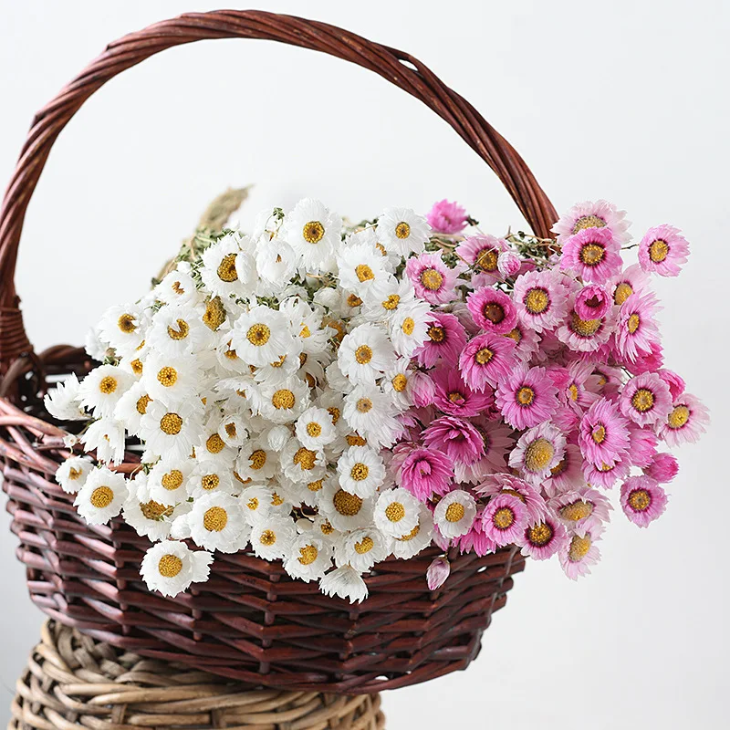 LD Wholesale Amazon hot selling drying flower bouquet decorative flowers dried/preserved daisy/timeless rose