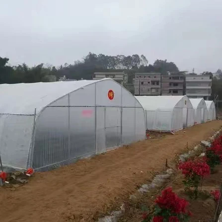 Good Quality And Easily Installed Agricultural/Commercial Green House Greenhouse