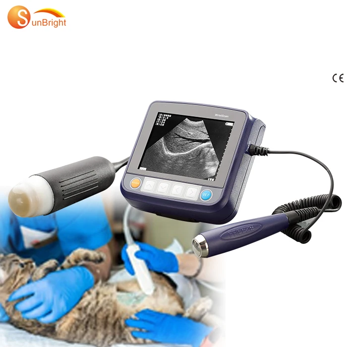 veterinary ultrasound cat dog portable laptop type veterinary ultrasound