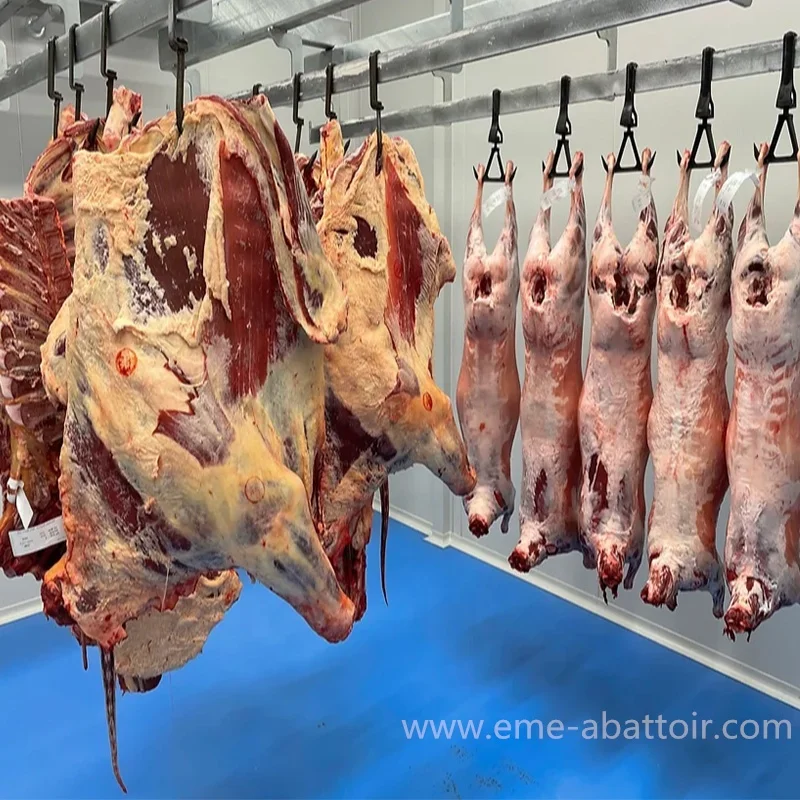 Cow Slaughter Line Abattoir Machinery for Complete Production Cattle Bovine Slaughterhouse Equipment for Sale Silver Provided