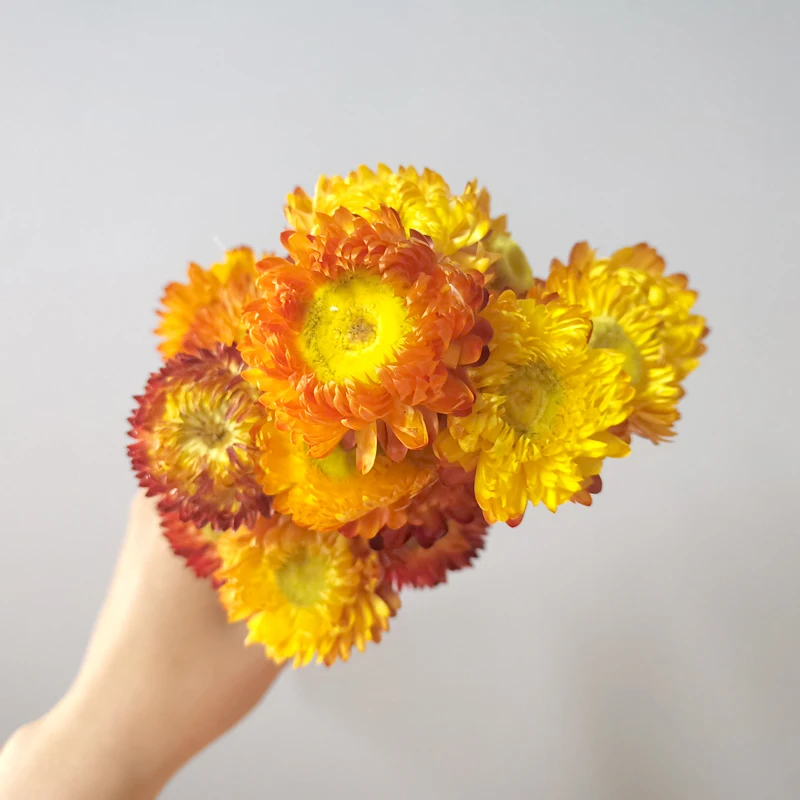 Лидер продаж на Amazon, сушеные цветы, соломенная Хризантема для свадебного декора