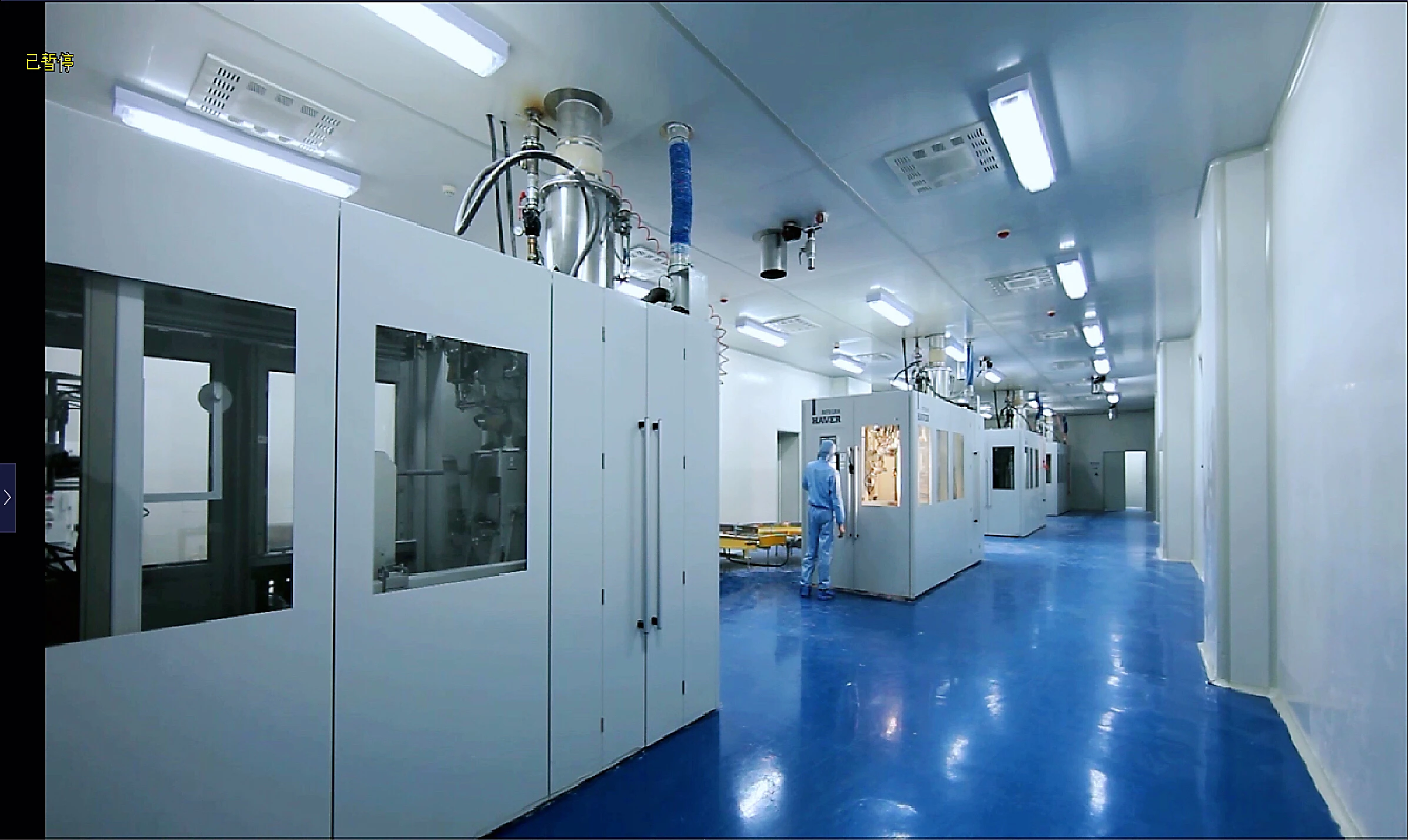 [HOSOME]ACETEM acetylated mono-diglycerol fatty acid ester E472e as emulsifier for cream chewing gum ice-cream CAS 977051-29-8