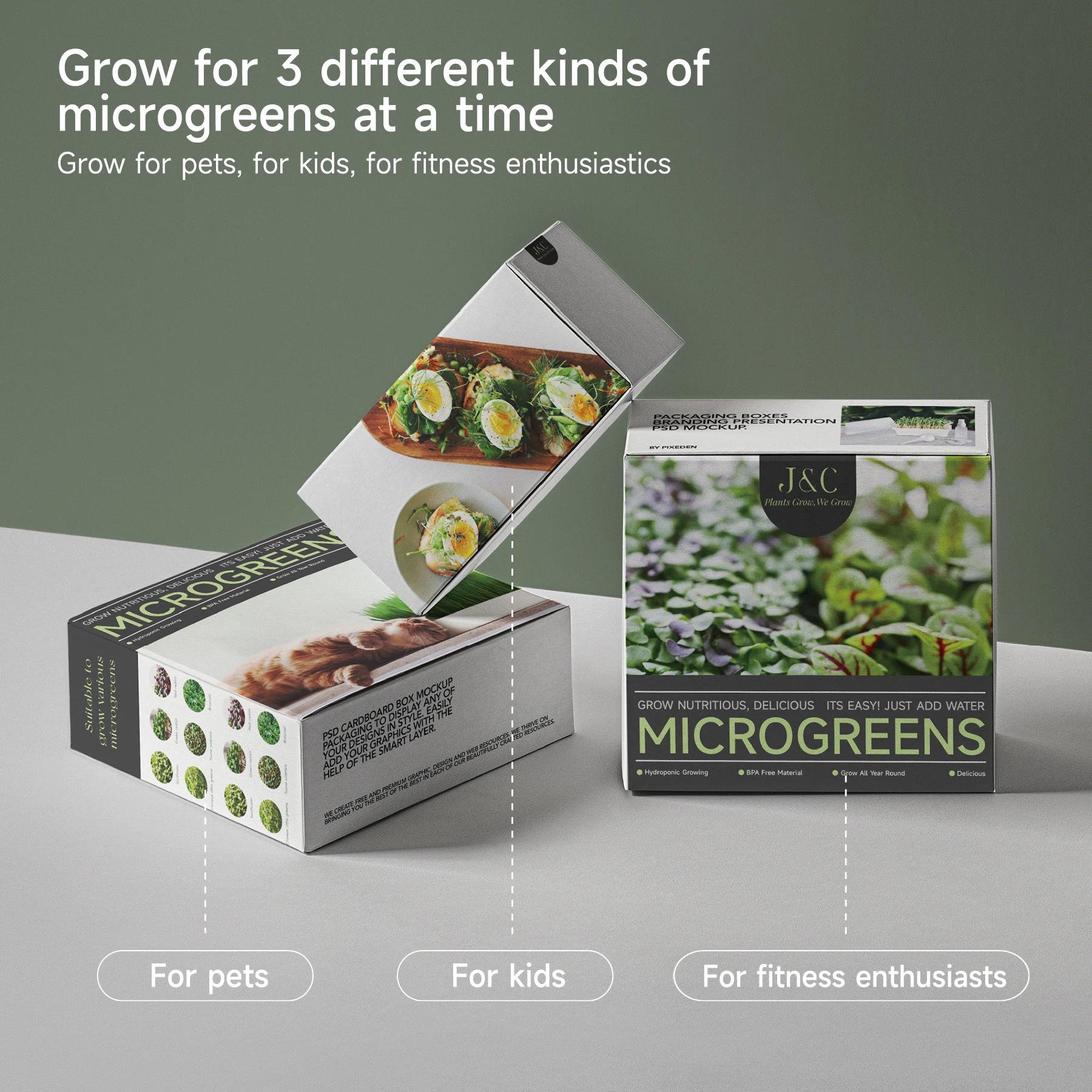 J&C Home Using Bamboo Made Trays Germinate Seed Easy Start Germination Tray Microgreens Harvest in 7 Days Grass Trays